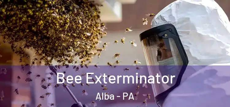  Bee Exterminator Alba - PA
