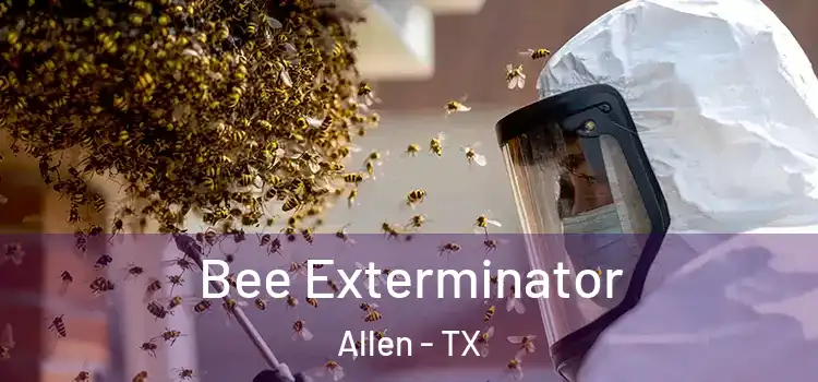 Bee Exterminator Allen - TX