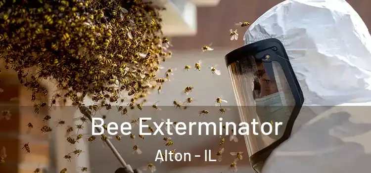 Bee Exterminator Alton - IL