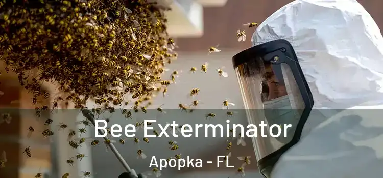 Bee Exterminator Apopka - FL