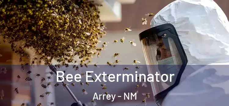 Bee Exterminator Arrey - NM