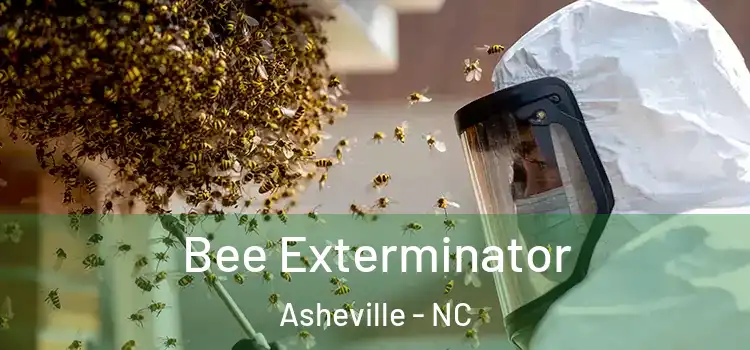 Bee Exterminator Asheville - NC
