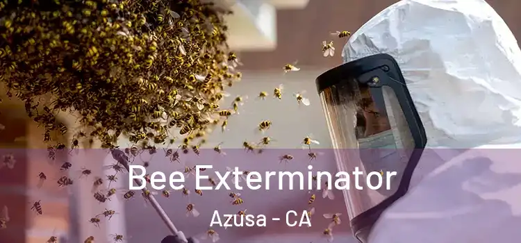 Bee Exterminator Azusa - CA