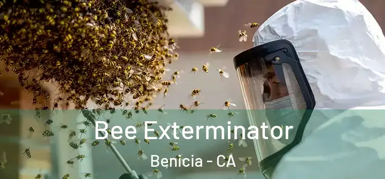 Bee Exterminator Benicia - CA