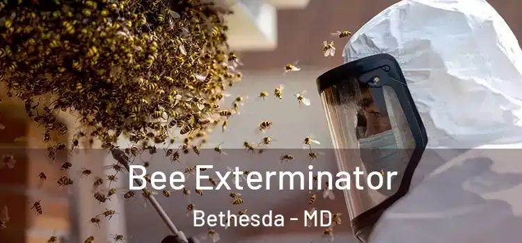  Bee Exterminator Bethesda - MD