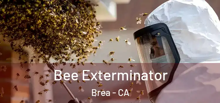 Bee Exterminator Brea - CA