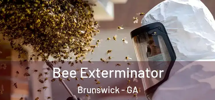  Bee Exterminator Brunswick - GA