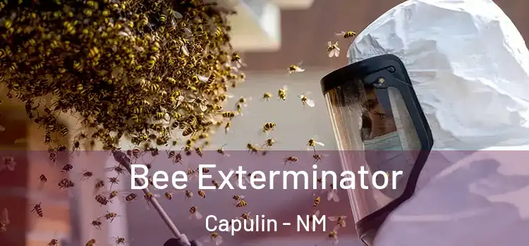 Bee Exterminator Capulin - NM