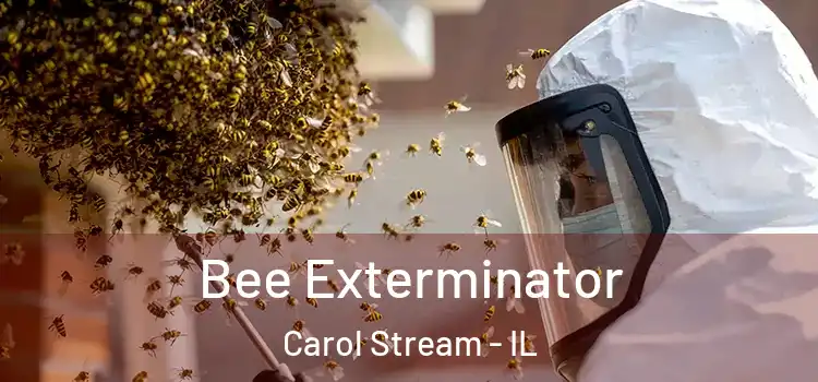 Bee Exterminator Carol Stream - IL