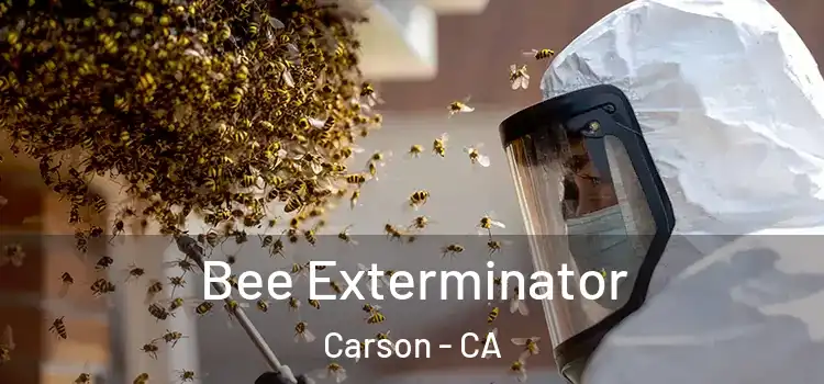 Bee Exterminator Carson - CA