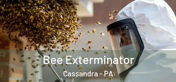 Bee Exterminator Cassandra - PA