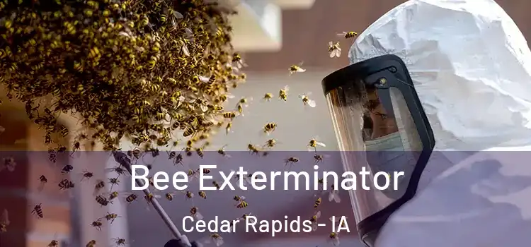  Bee Exterminator Cedar Rapids - IA