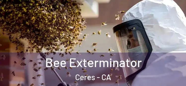 Bee Exterminator Ceres - CA