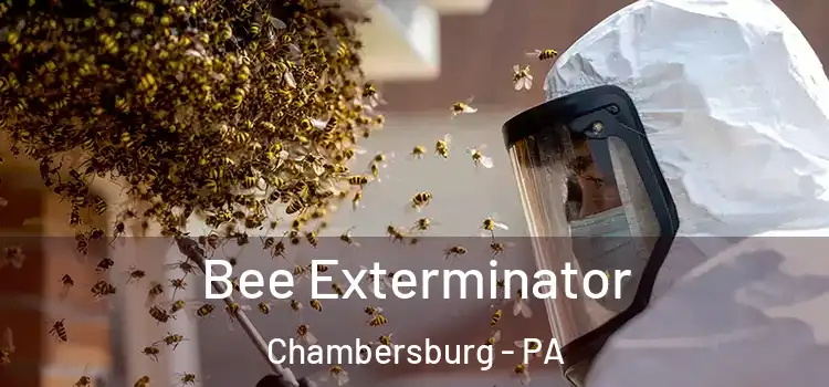  Bee Exterminator Chambersburg - PA