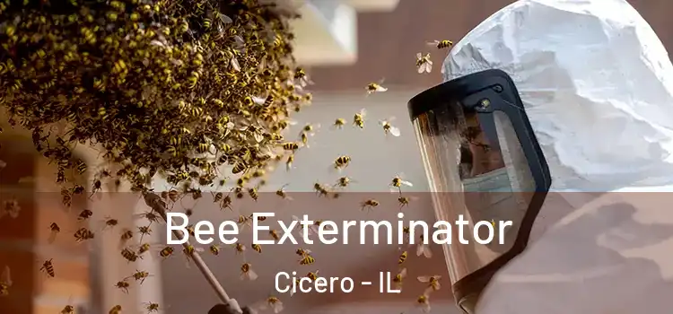 Bee Exterminator Cicero - IL