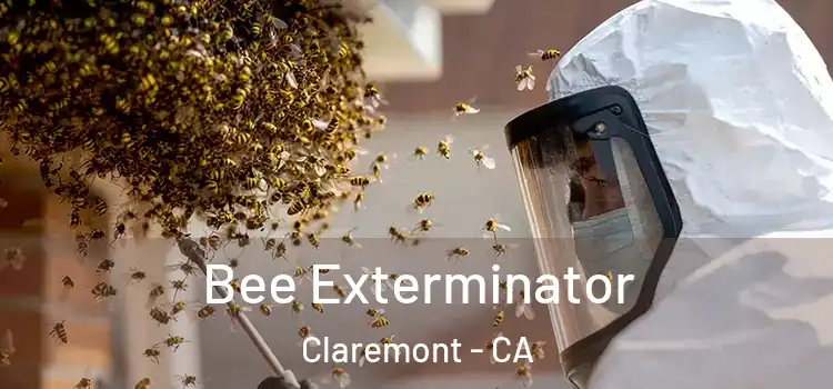 Bee Exterminator Claremont - CA