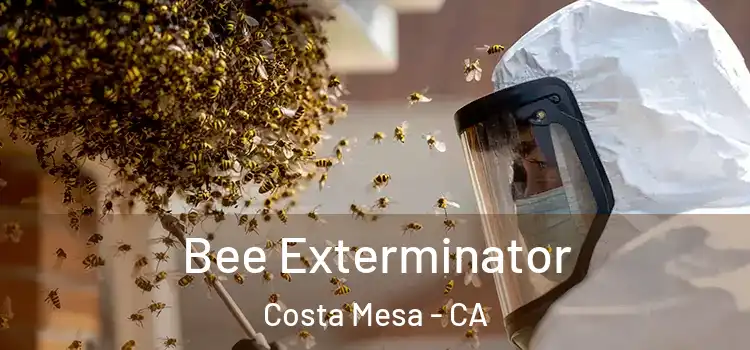 Bee Exterminator Costa Mesa - CA