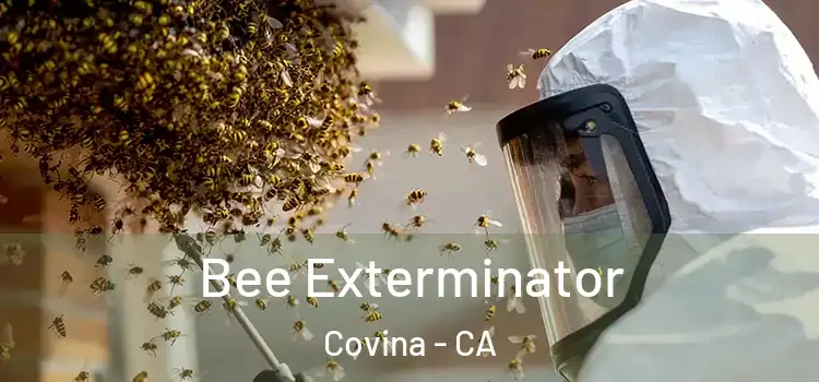 Bee Exterminator Covina - CA