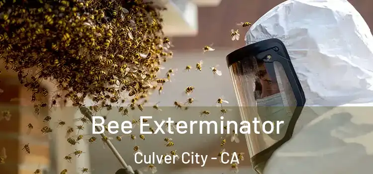 Bee Exterminator Culver City - CA