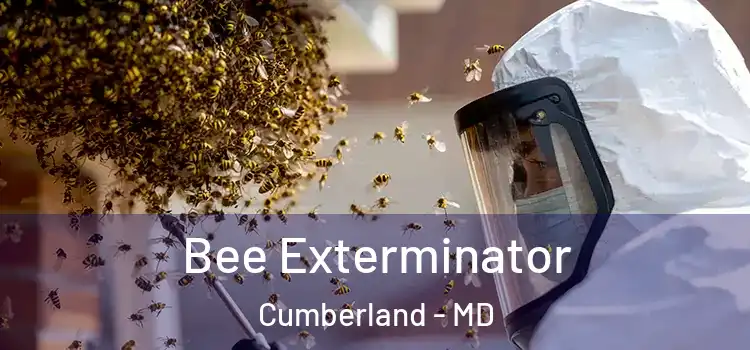  Bee Exterminator Cumberland - MD
