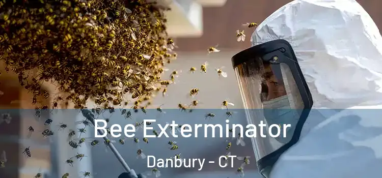 Bee Exterminator Danbury - CT