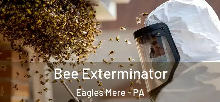  Bee Exterminator Eagles Mere - PA