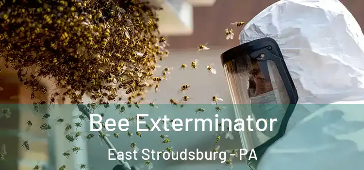  Bee Exterminator East Stroudsburg - PA