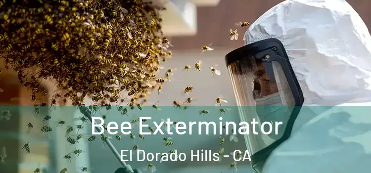 Bee Exterminator El Dorado Hills - CA