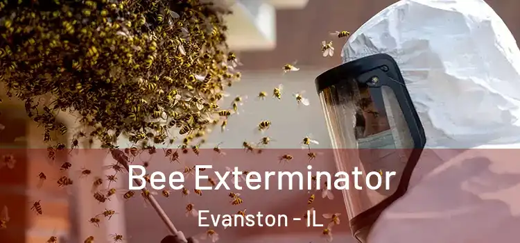 Bee Exterminator Evanston - IL
