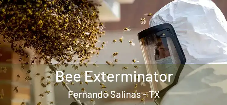  Bee Exterminator Fernando Salinas - TX