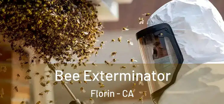 Bee Exterminator Florin - CA