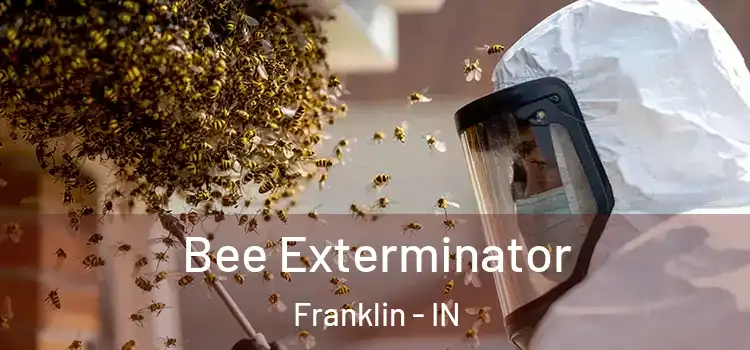  Bee Exterminator Franklin - IN