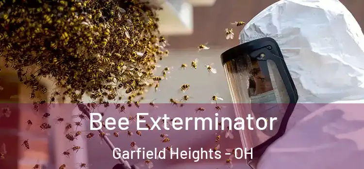 Bee Exterminator Garfield Heights - OH