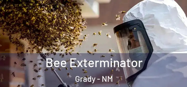  Bee Exterminator Grady - NM