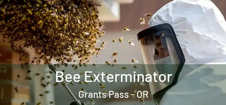 Bee Exterminator Grants Pass - OR