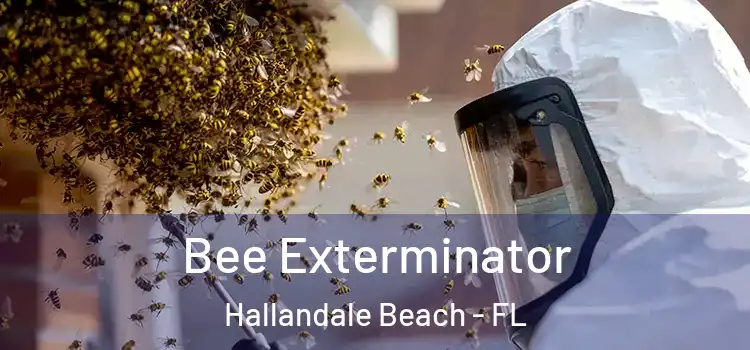 Bee Exterminator Hallandale Beach - FL