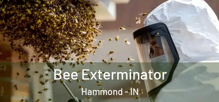  Bee Exterminator Hammond - IN