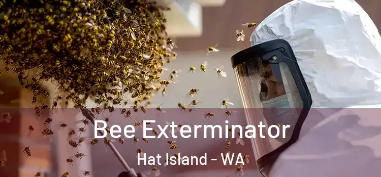  Bee Exterminator Hat Island - WA