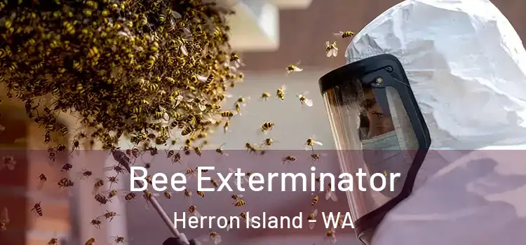  Bee Exterminator Herron Island - WA