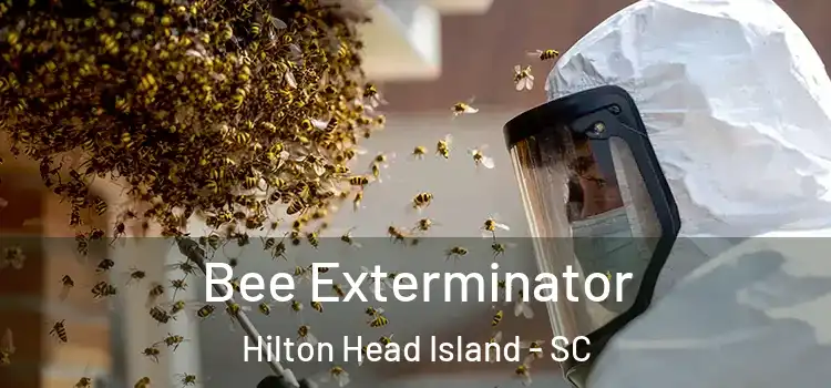  Bee Exterminator Hilton Head Island - SC