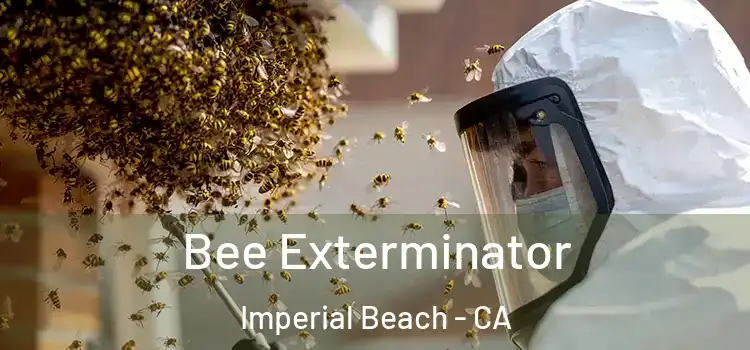 Bee Exterminator Imperial Beach - CA