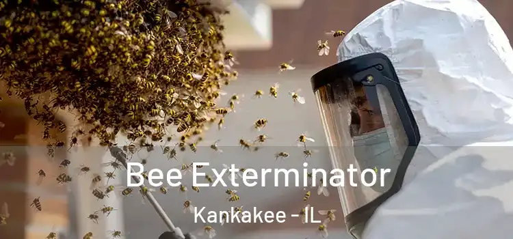 Bee Exterminator Kankakee - IL