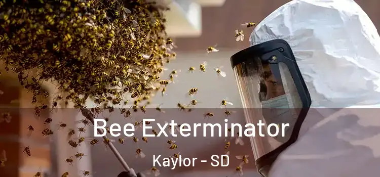  Bee Exterminator Kaylor - SD