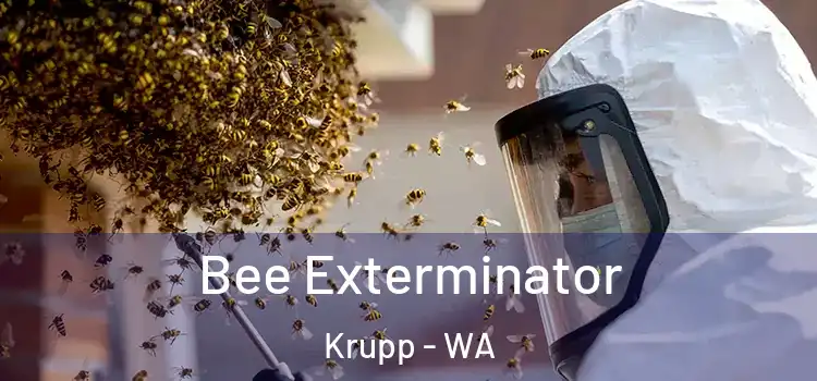  Bee Exterminator Krupp - WA