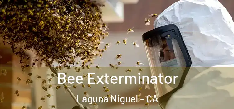 Bee Exterminator Laguna Niguel - CA