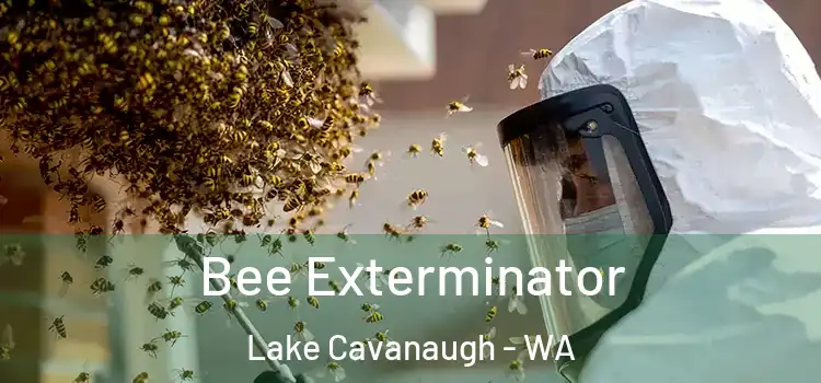 Bee Exterminator Lake Cavanaugh - WA