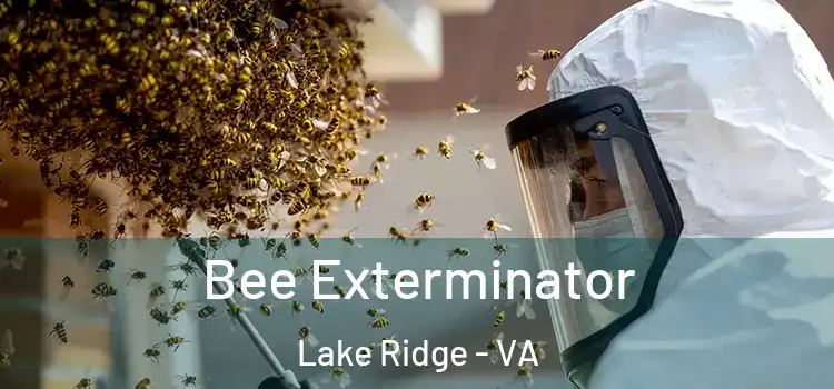  Bee Exterminator Lake Ridge - VA