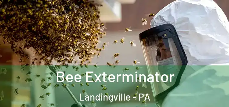 Bee Exterminator Landingville - PA