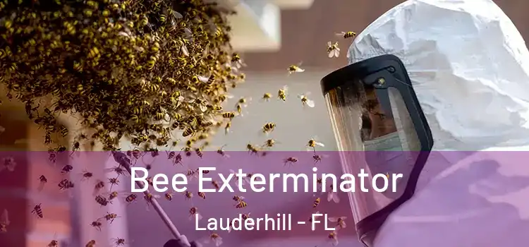Bee Exterminator Lauderhill - FL