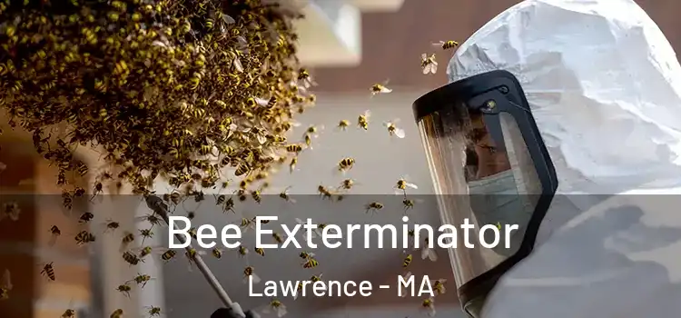  Bee Exterminator Lawrence - MA